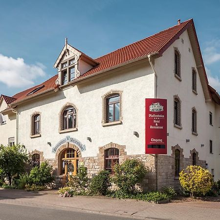 Hotel Pfaffenhofen Schwabenheim an der Selz Exteriér fotografie